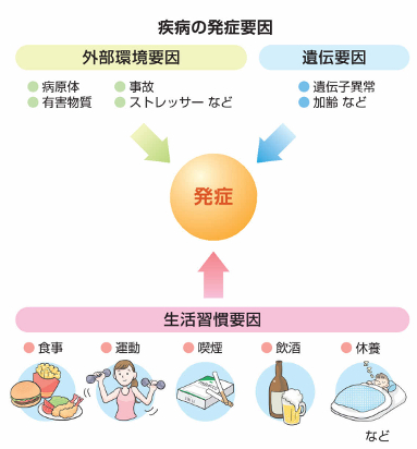 病 生活 は 習慣 と